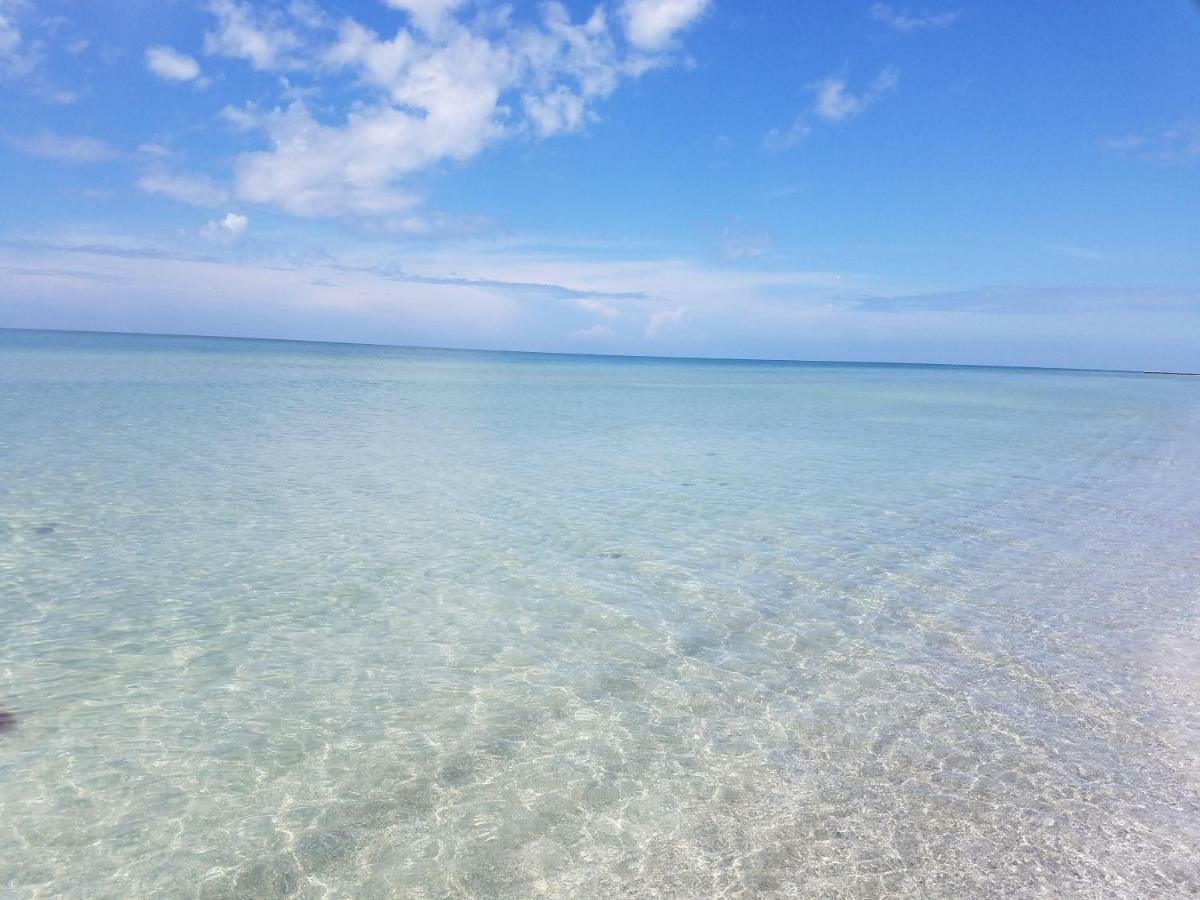 Amazing Panoramic Beach View And The Most Beautiful Sunset Longboat Key Exterior photo